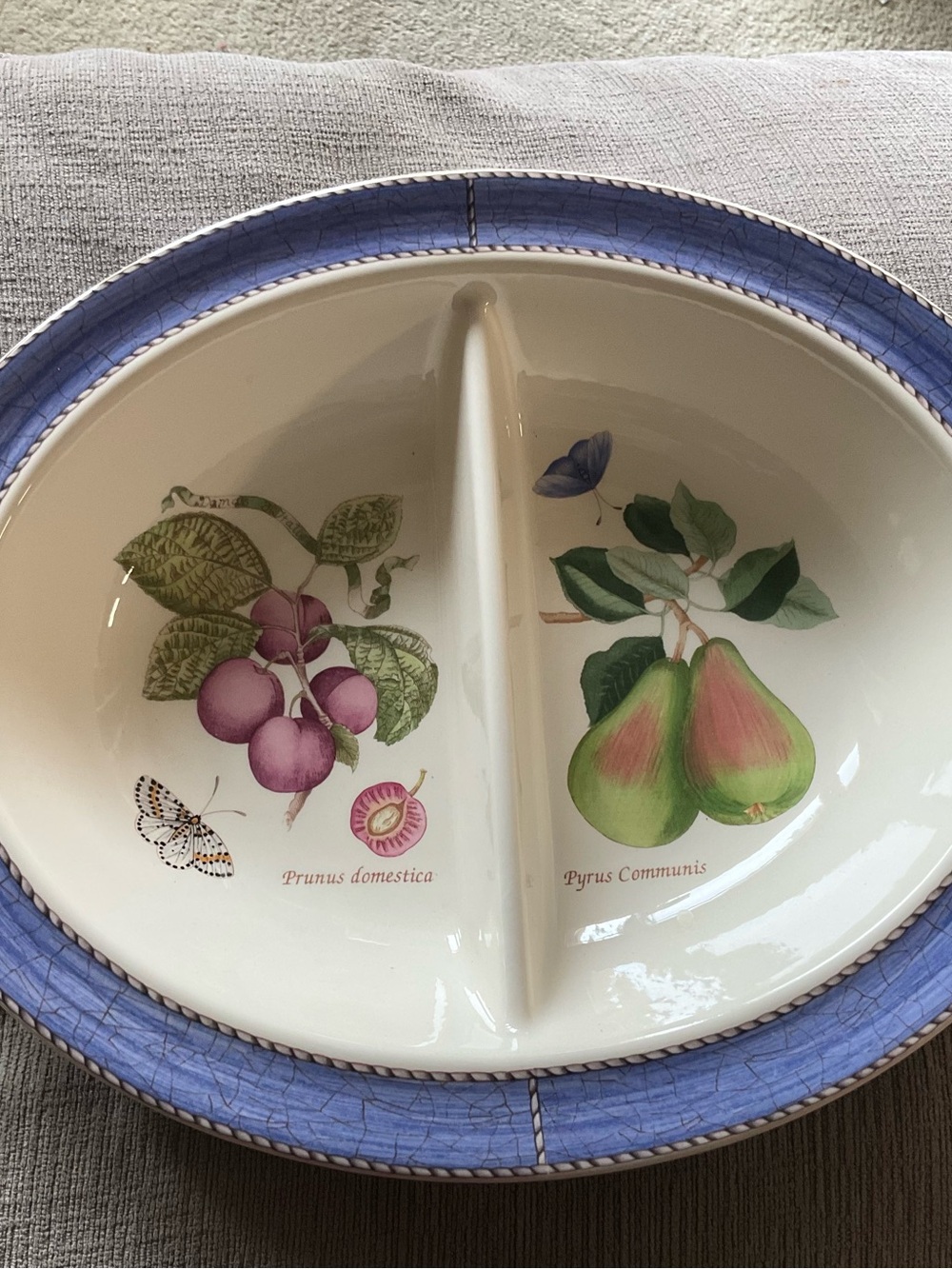 Wedgwood Divided Ceramic Serving Dish with Blue Trim and Botanical Fruit Motifs